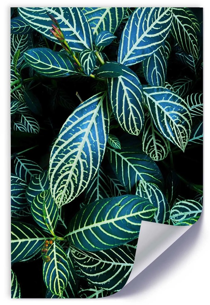 Gario Plagát Šťavnaté zelené listy Farba rámu: Bez rámu, Rozmery: 30 x 45 cm