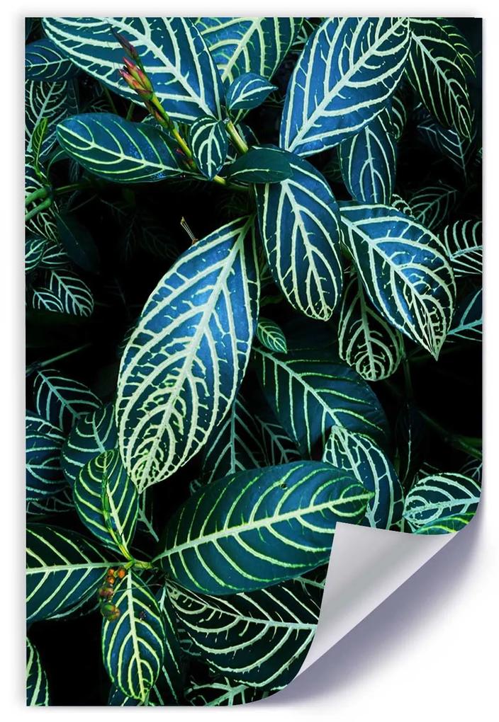 Gario Plagát Šťavnaté zelené listy Farba rámu: Bez rámu, Rozmery: 20 x 30 cm