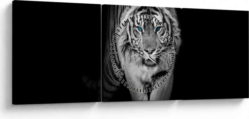 Obraz - Tiger s modrými očami (s hodinami) (90x30 cm)