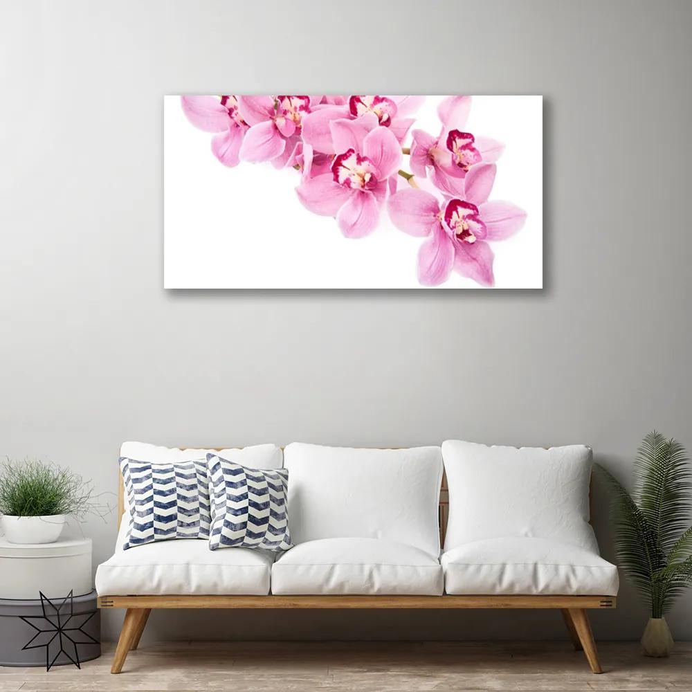 Obraz Canvas Kvety rastlina príroda 125x50 cm