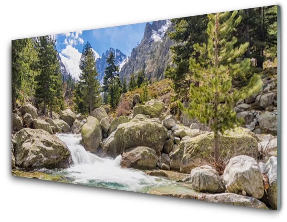 Skleneny obraz Hora les kamene rieka 120x60 cm