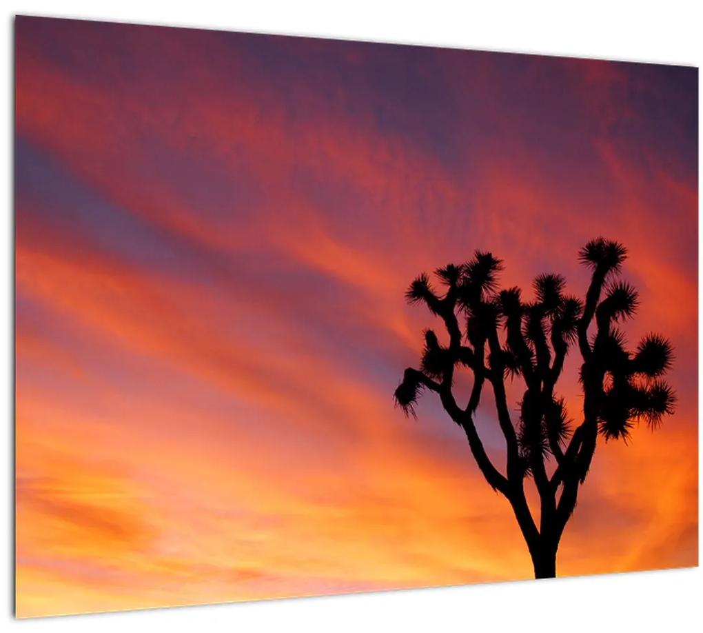 Obraz západu slnka nad siluetou stromu (70x50 cm)