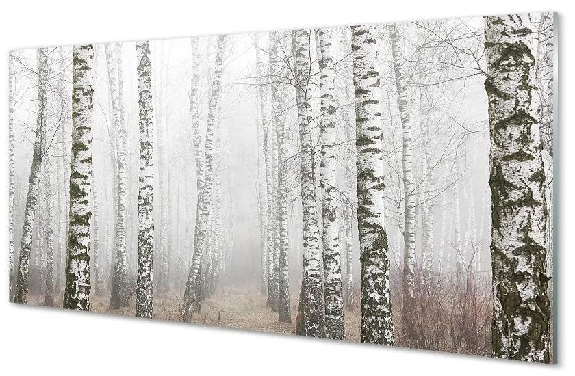 Sklenený obraz hmla breza 100x50 cm