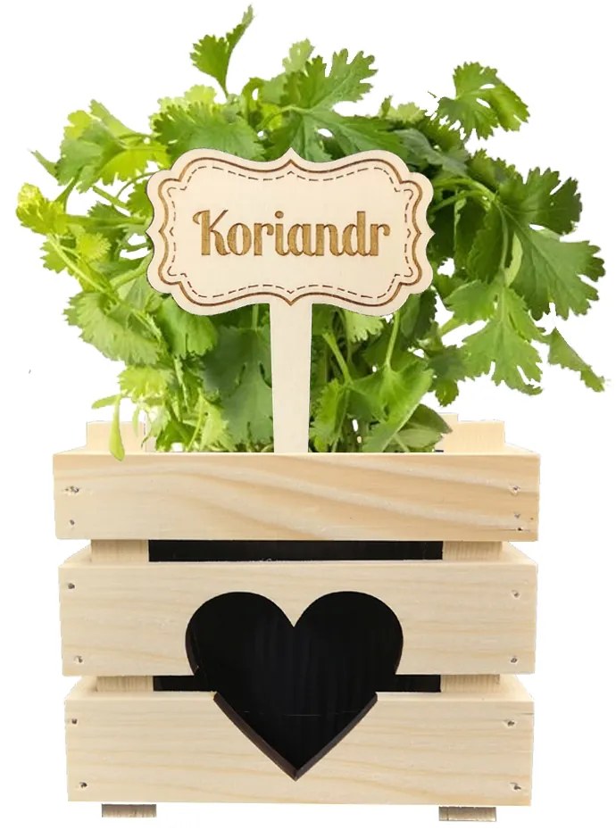 AMADEA Drevený zápich - ceduľka na bylinky Koriander, výška 20 cm, český výrobok