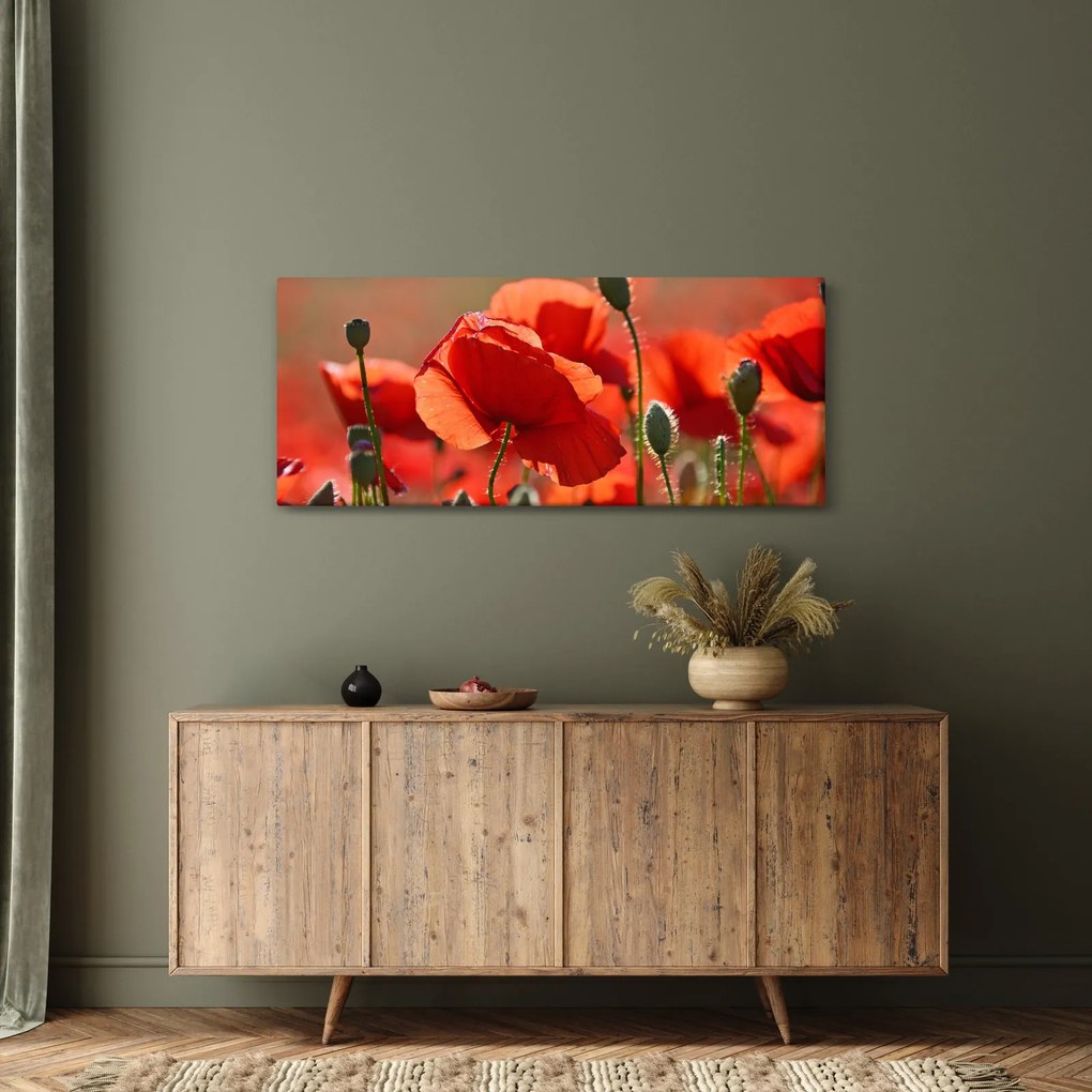 Obraz vlčích makov (120x50 cm)