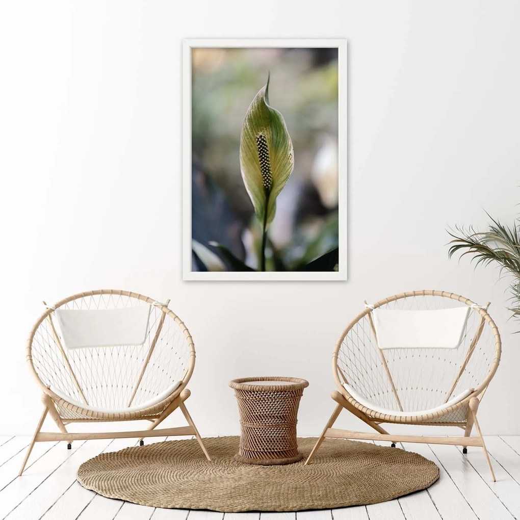 Gario Plagát Zaujímavá exotická rastlina Farba rámu: Bez rámu, Rozmery: 40 x 60 cm