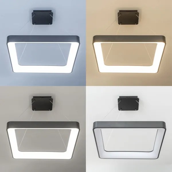 Brilagi - LED stmievateľný luster na lanku FALCON II LED/125W/230V 60x60 cm čierny + diaľkové ovládanie