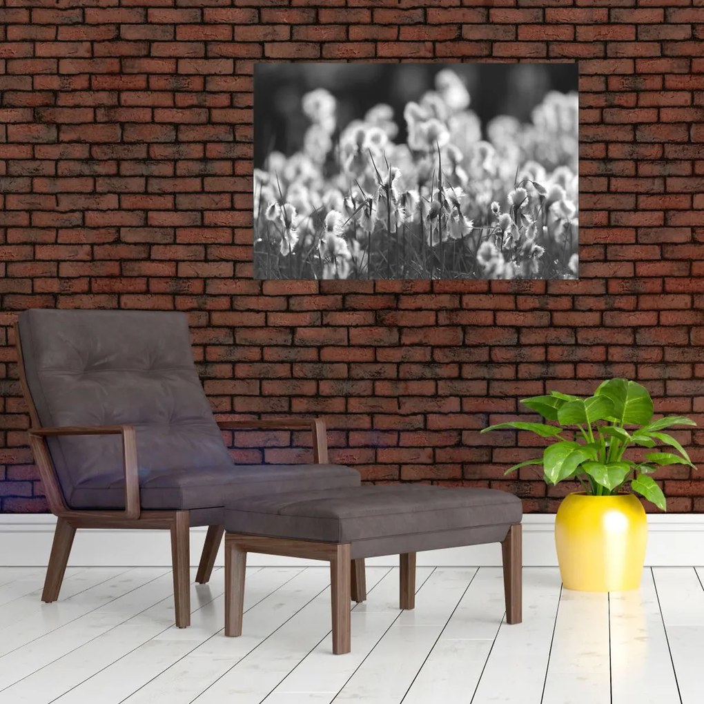 Obraz - Letná lúka (90x60 cm)
