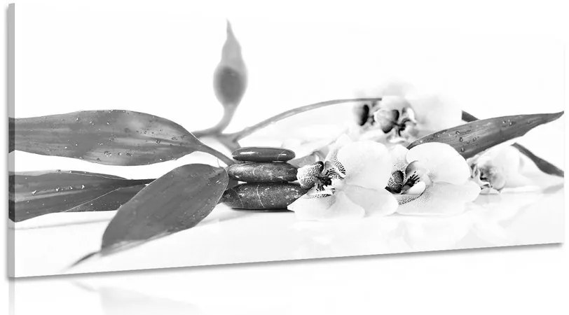 Obraz zátišie so Zen kameňmi v čiernobielom prevedení