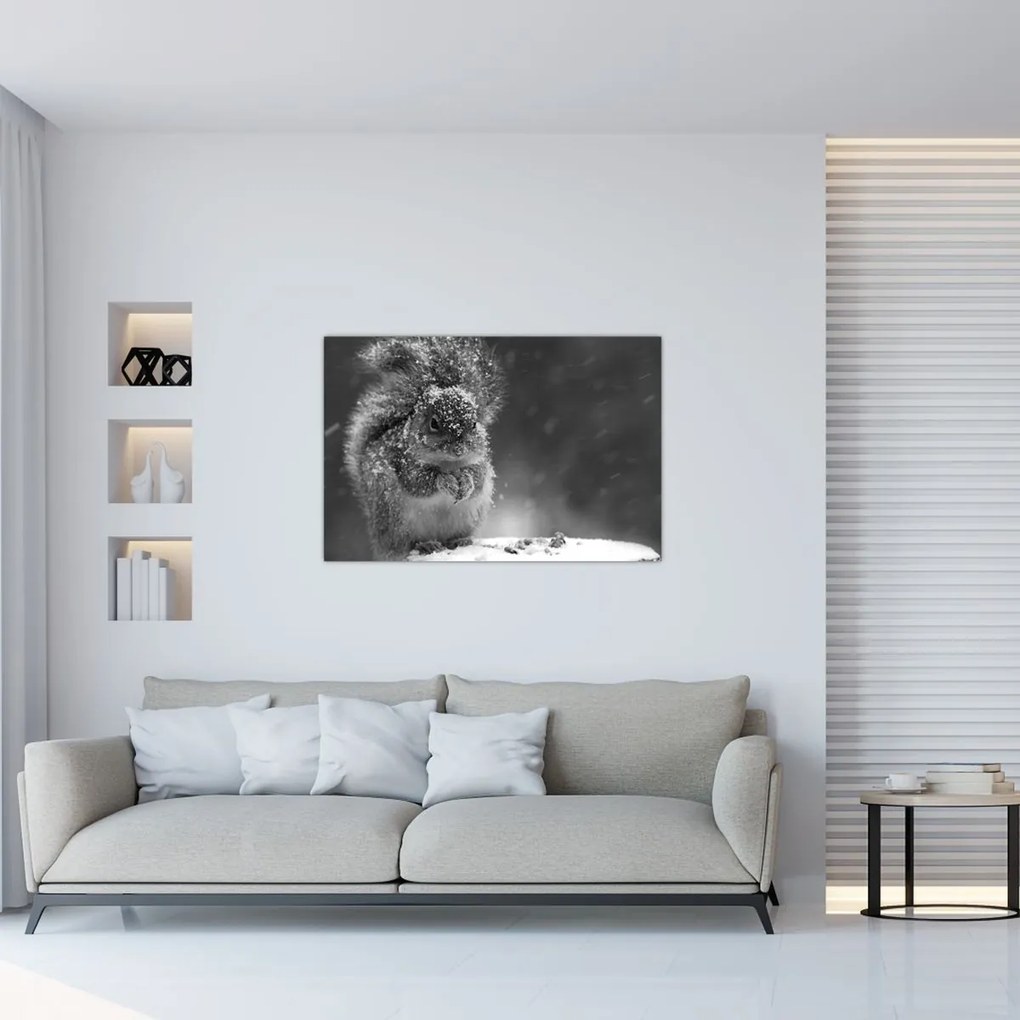 Obraz - Veverička v zime (90x60 cm)