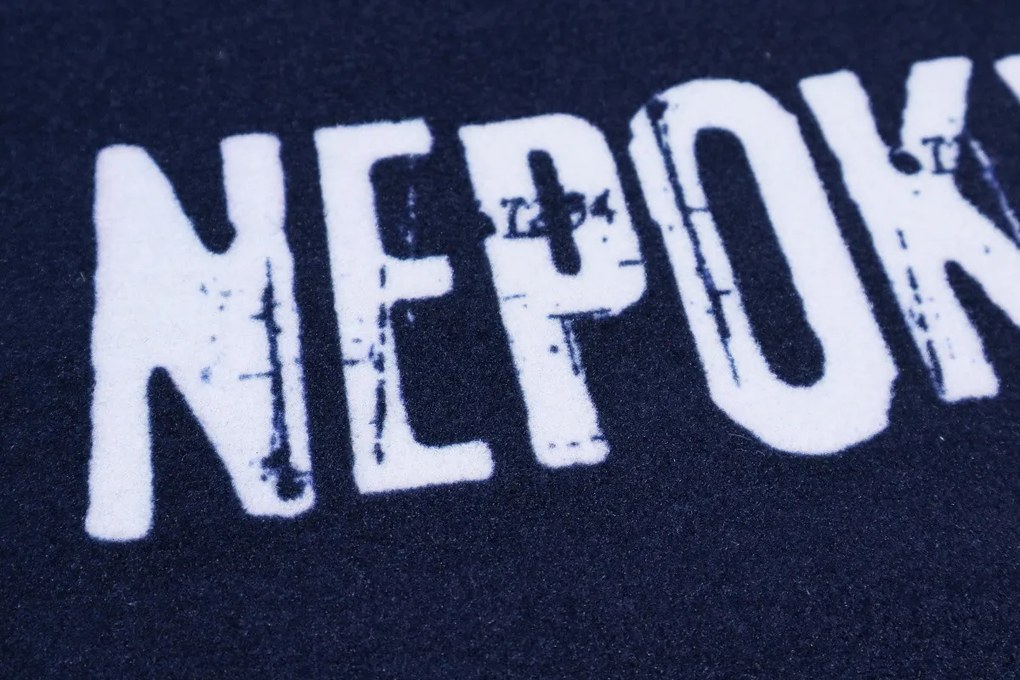 Mercury Flooring, Rohožka Nepokradneš 40x60 cm, 40x60, modrá