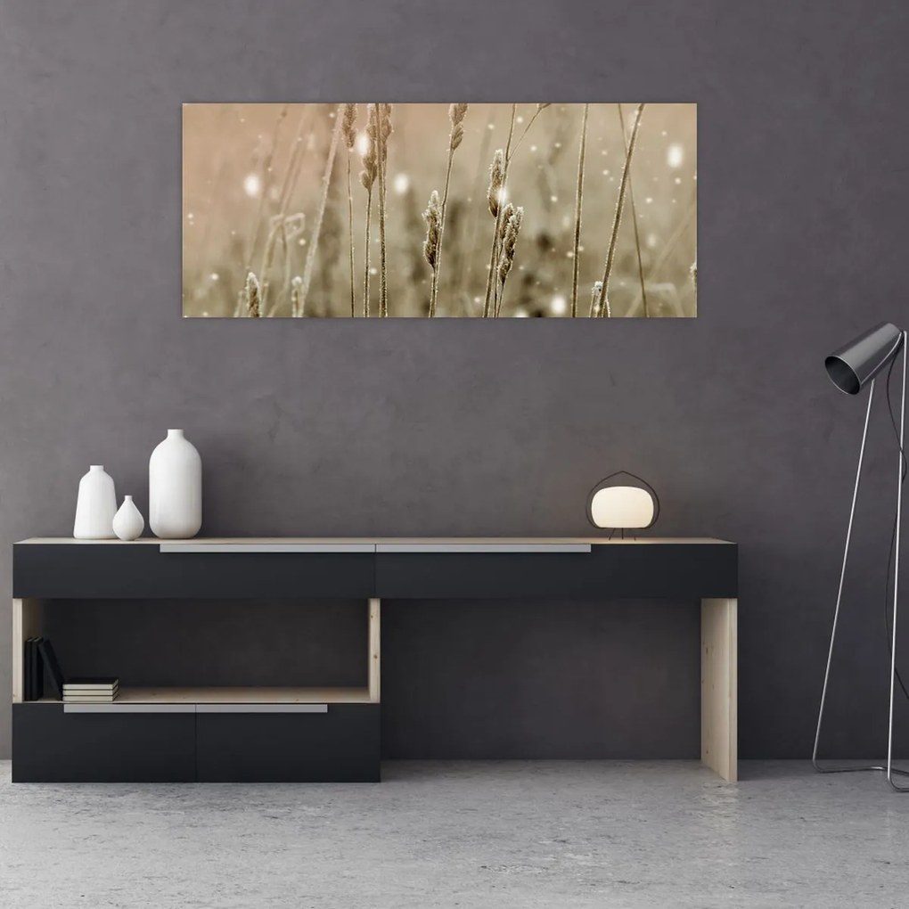 Obraz - Harmonická lúka (120x50 cm)