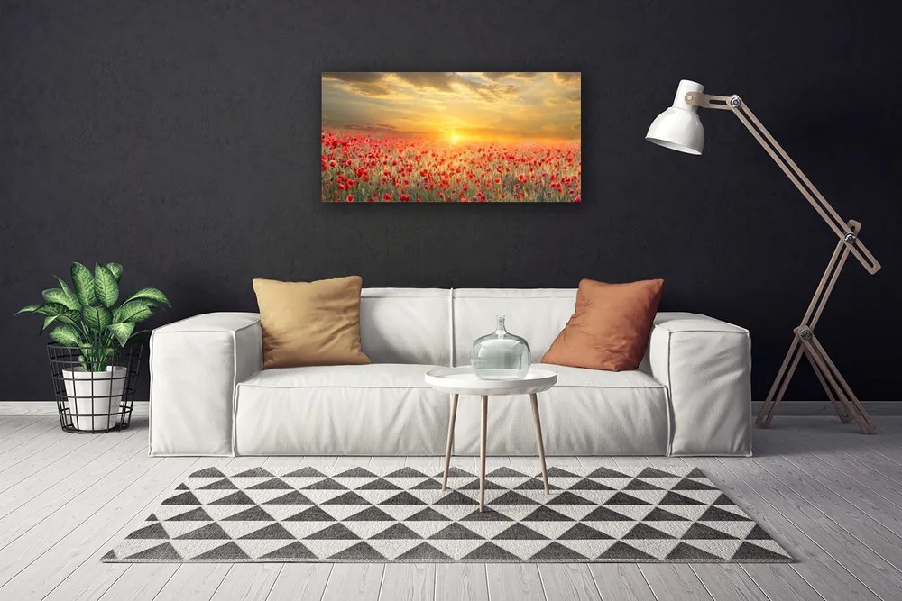 Obraz Canvas Slnko lúka mak kvety 140x70 cm