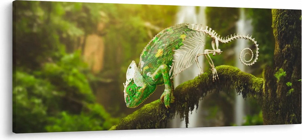 Obraz chameleóna (120x50 cm)