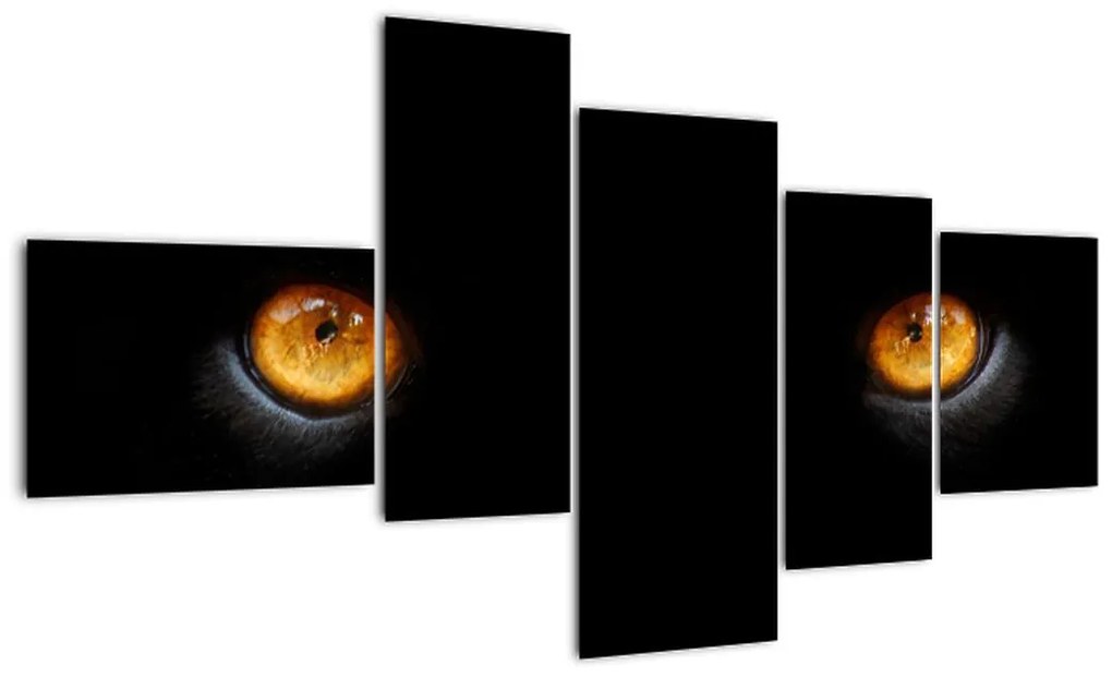 Zvieracie oči - obraz