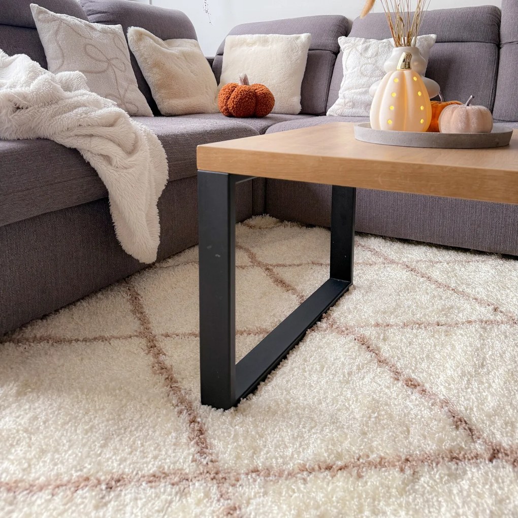 Kusový koberec Alvor Shaggy 3401 cream, 80x250, biela, obývacia izba, Ayyildiz