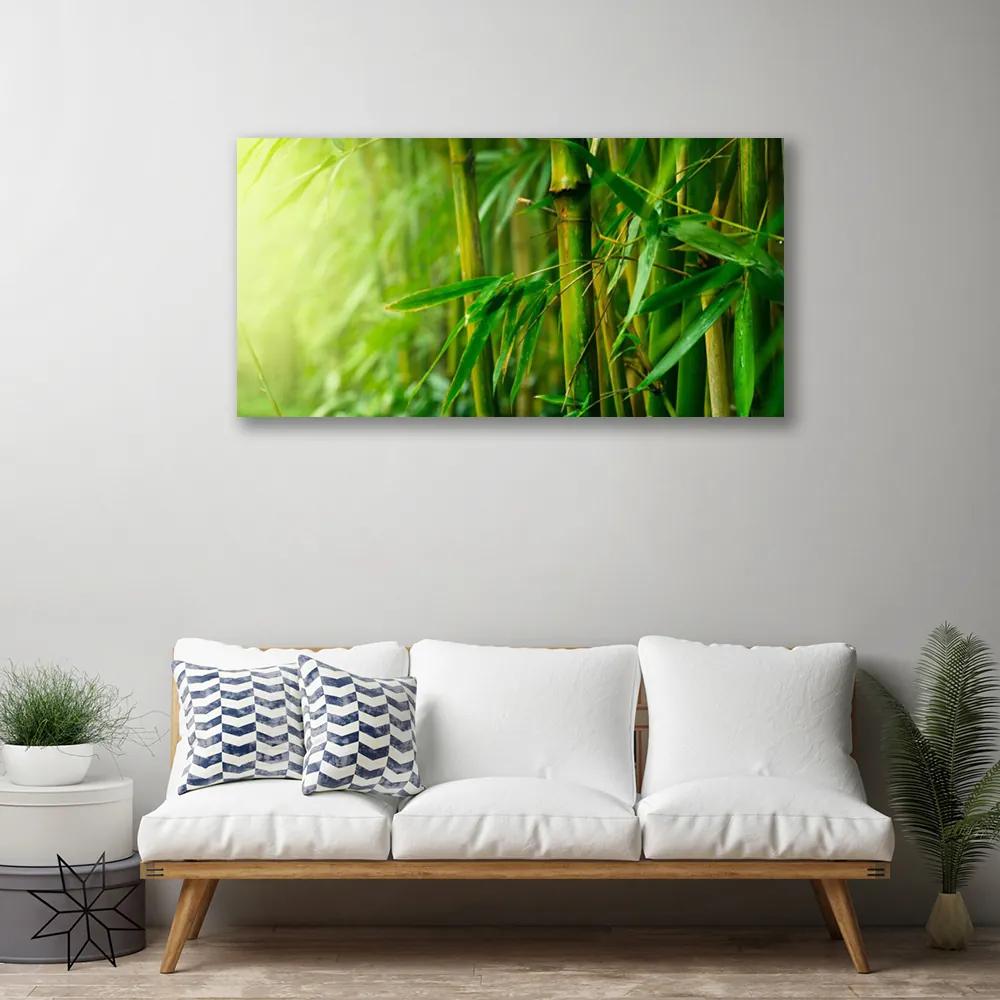 Obraz na plátne Bambus stonky rastlina 140x70 cm