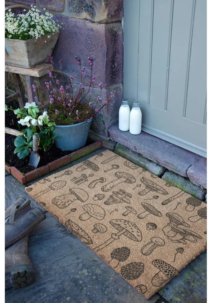 Rohožka z kokosového vlákna 40x60 cm Mushrooms – Artsy Doormats