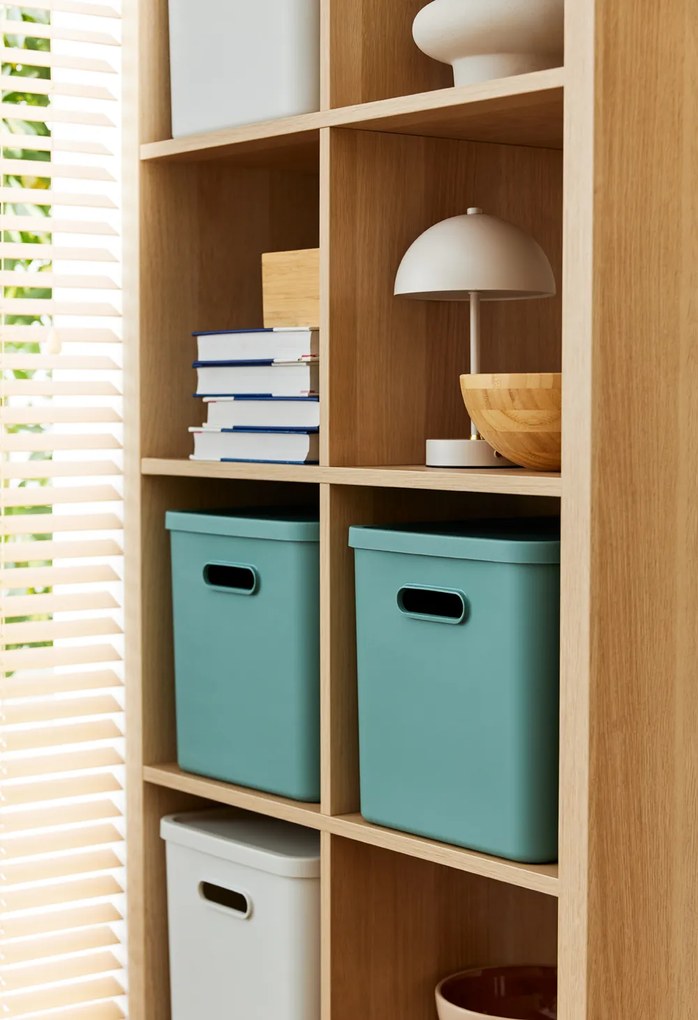 Rotho Úložný box, rovný s víkem, 27l, matně zelená ALBU LIGHT, 37x29x30