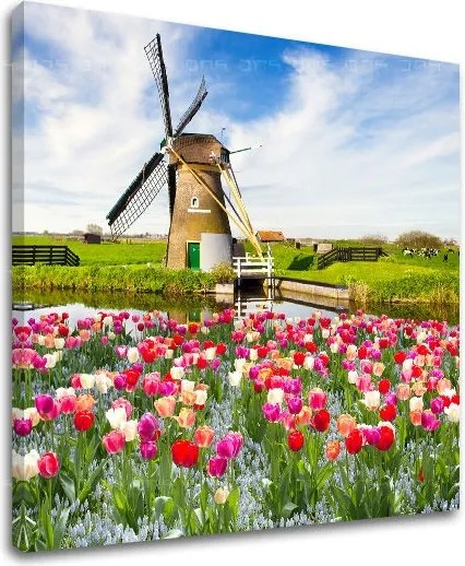 Obraz na stenu MESTO ME101E12 - 60x60 cm