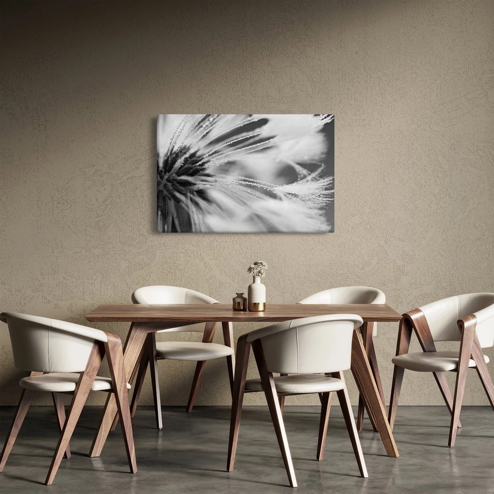 Obraz - Makro, čiernobiela (90x60 cm)