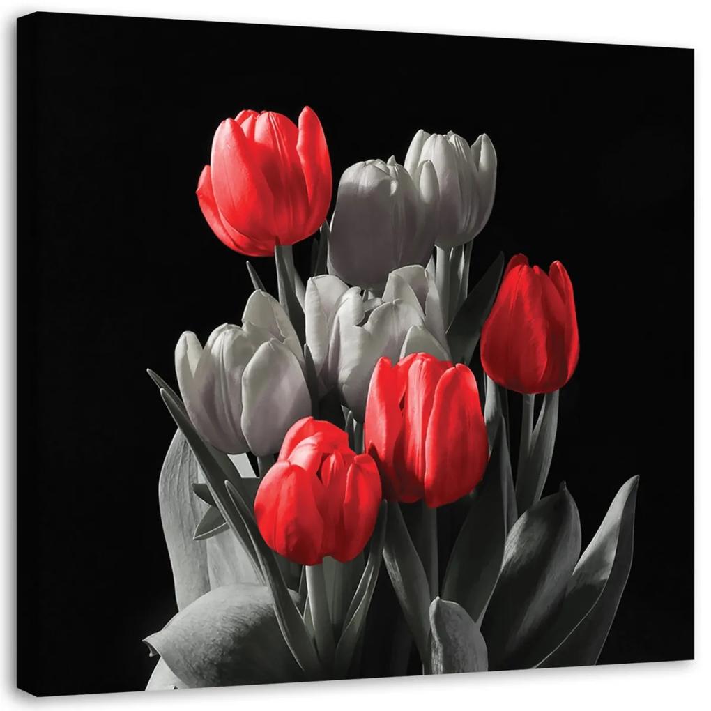Obraz na plátně Tulipánové květiny Červená šedá - 50x50 cm