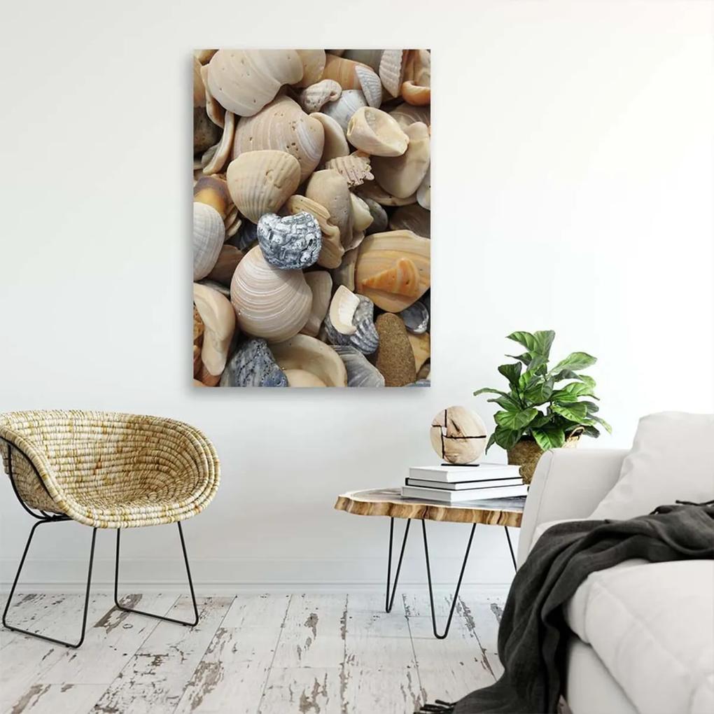 Obraz na plátně Mušle Kameny moře - 40x60 cm