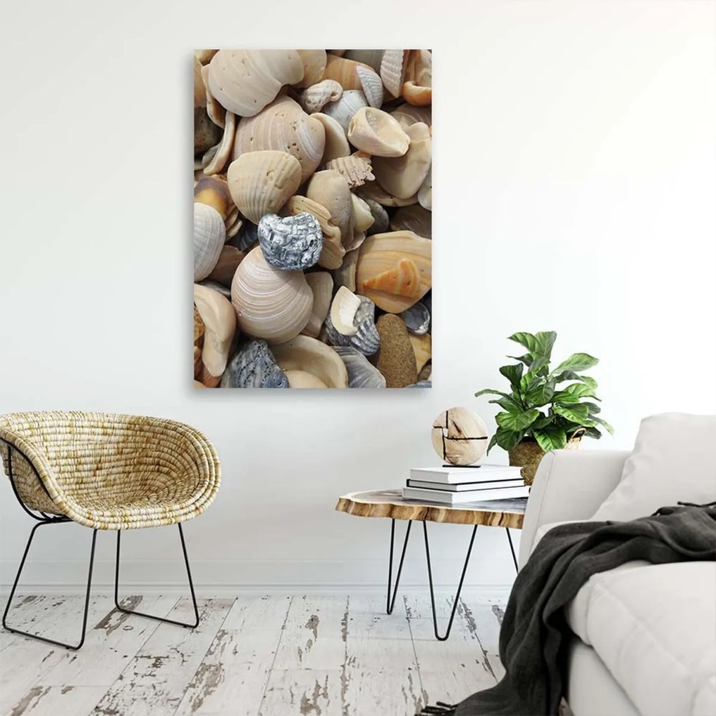 Obraz na plátně Mušle Kameny moře - 70x100 cm