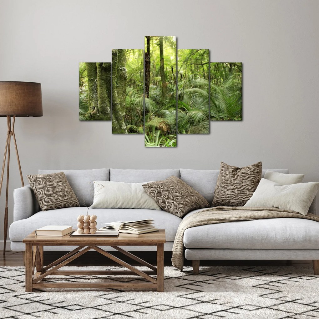 Obraz Tropický dažďový prales (150x105 cm)