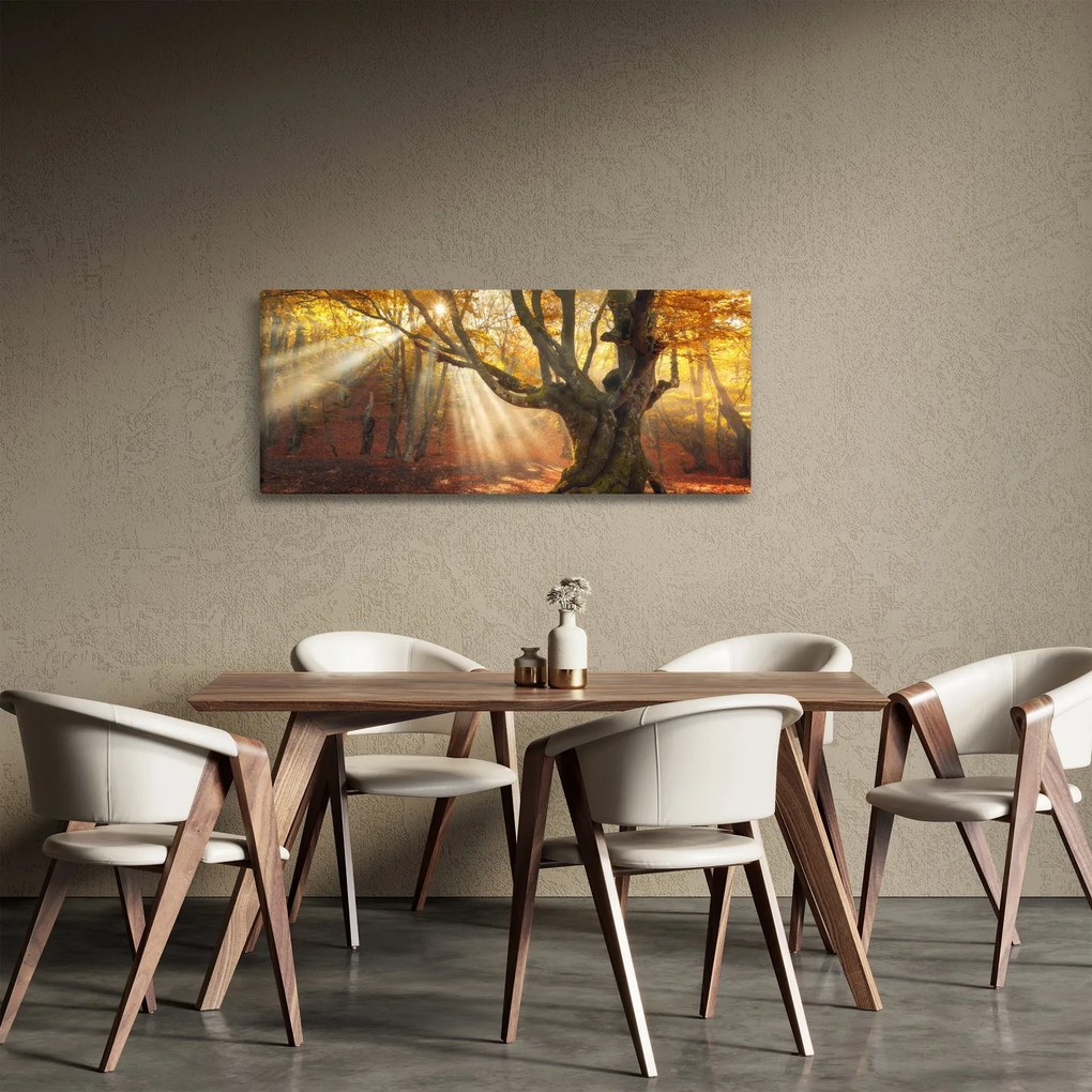 Obraz - Jesenný svit (120x50 cm)
