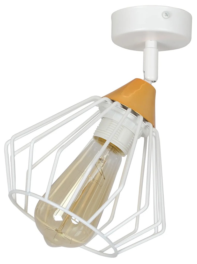 VESTA 1A | moderná stropná lampa Farba: Biela
