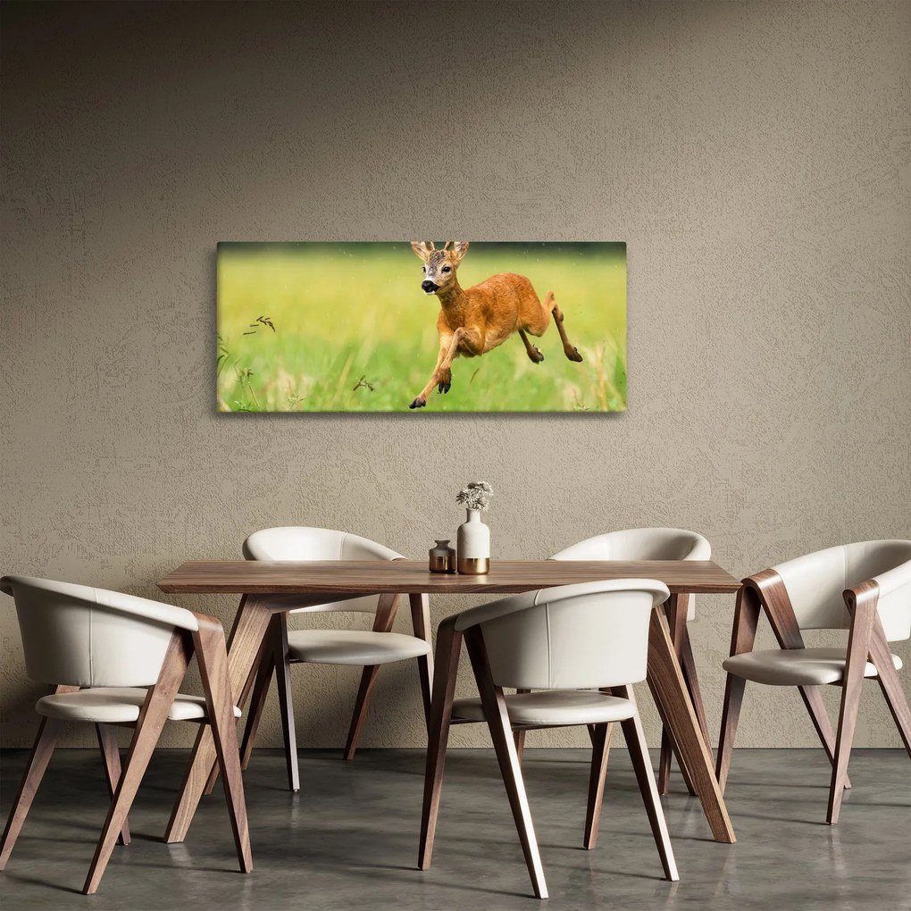 Obraz - Srnček (120x50 cm)