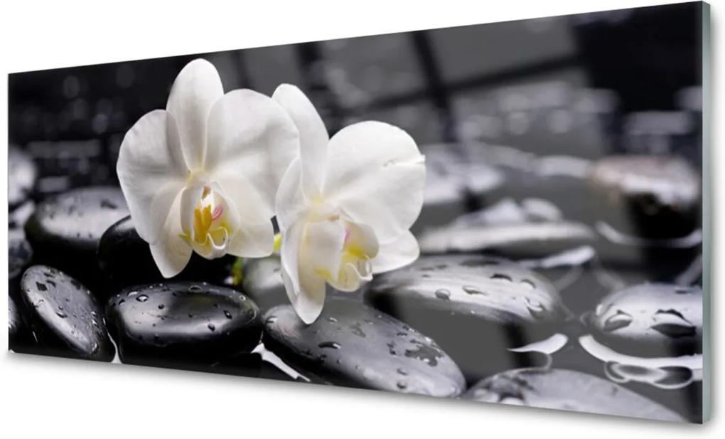 Obraz plexi Kamene Zen Biela Orchidea