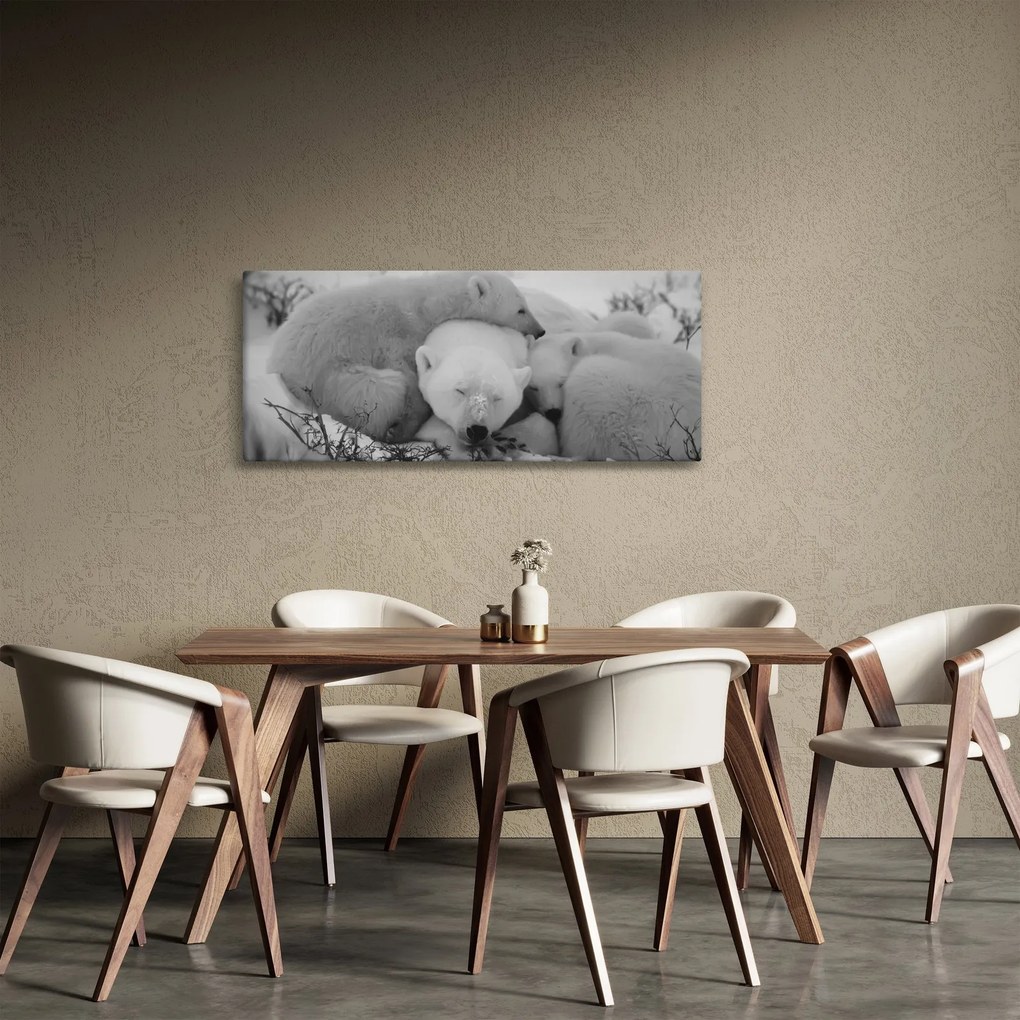 Obraz - Ľadové medvedíky, čiernobiela (120x50 cm)