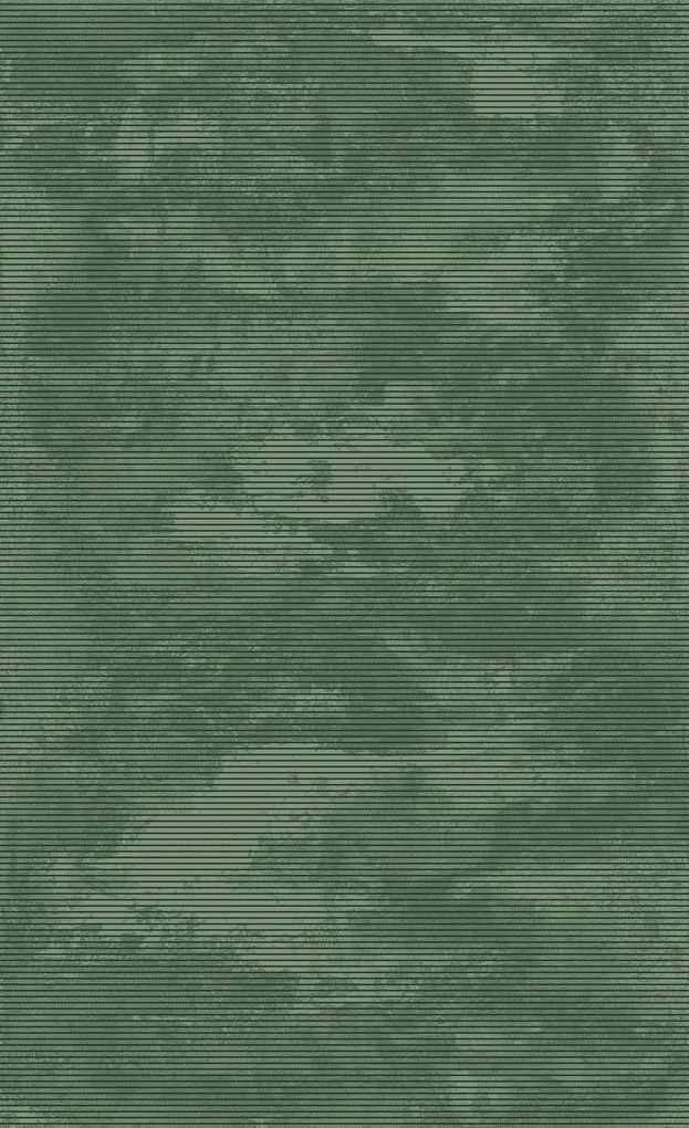 BE Koberec Eforia 9551 GREEN – zelený obdĺžnikový Rozmer: 160x220 cm