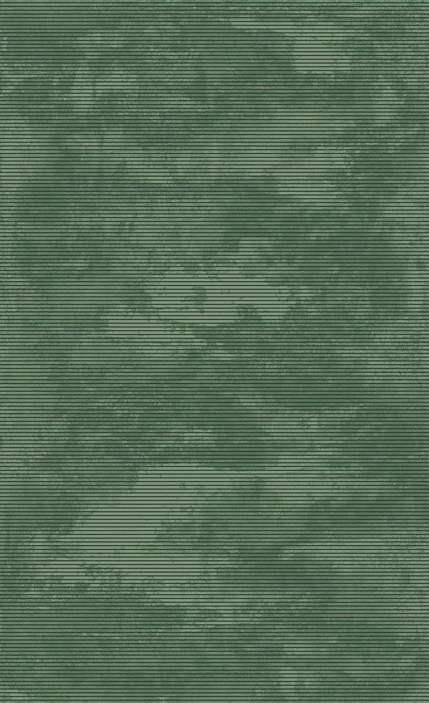 BE Koberec Eforia 9551 GREEN – zelený obdĺžnikový Rozmer: 80x150 cm