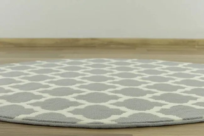 Koberec LUNA 503402/89944 sivý