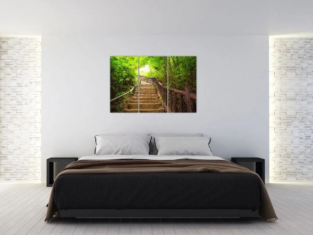 Schody v lese - obraz