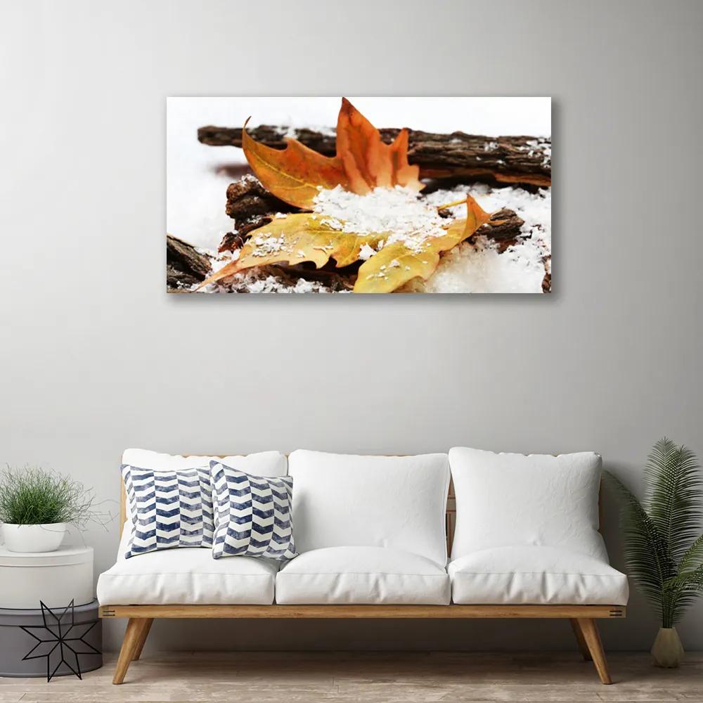 Obraz Canvas List les jeseň príroda 100x50 cm