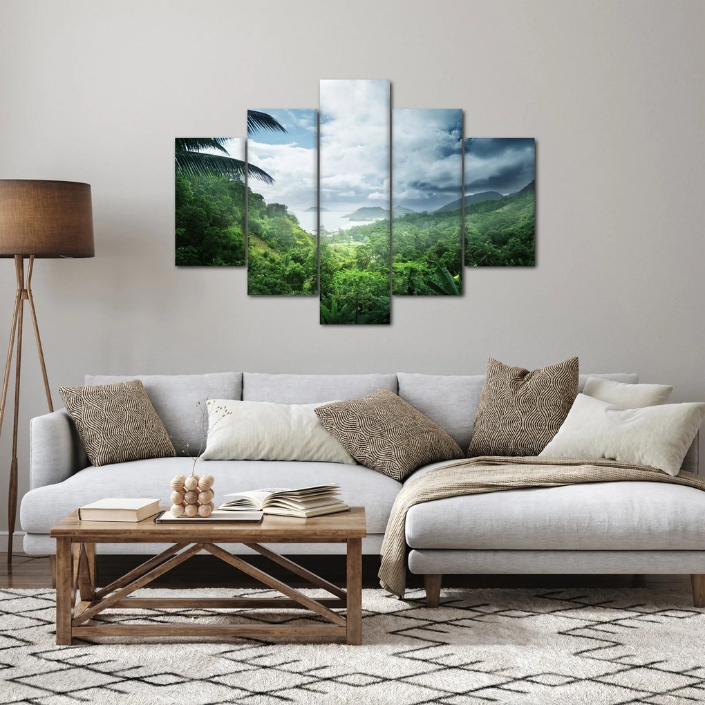Obraz - Seychelská jungle (150x105 cm)