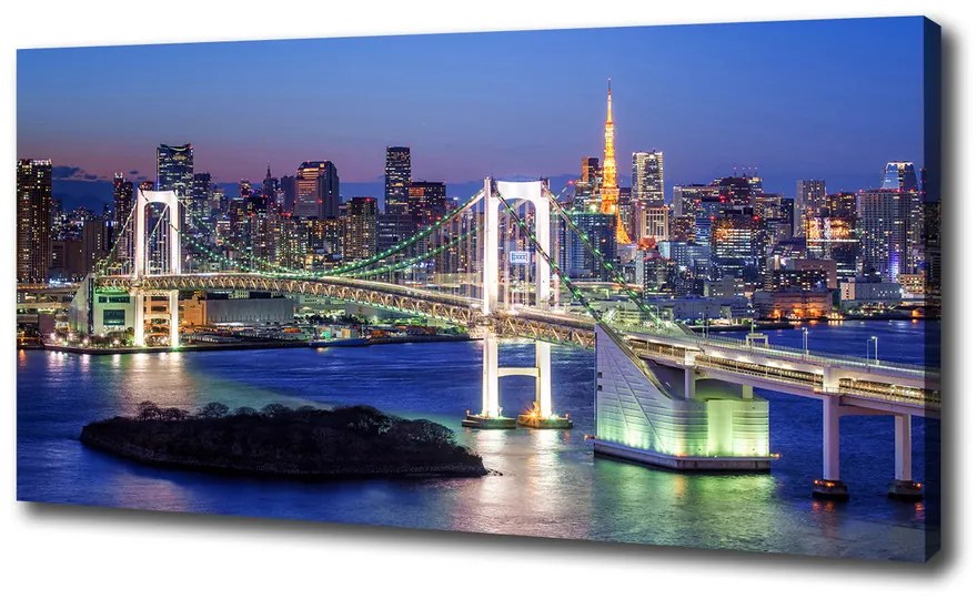 Foto obraz na plátne do obývačky Most v Tokio pl-oc-100x50-f-83069808