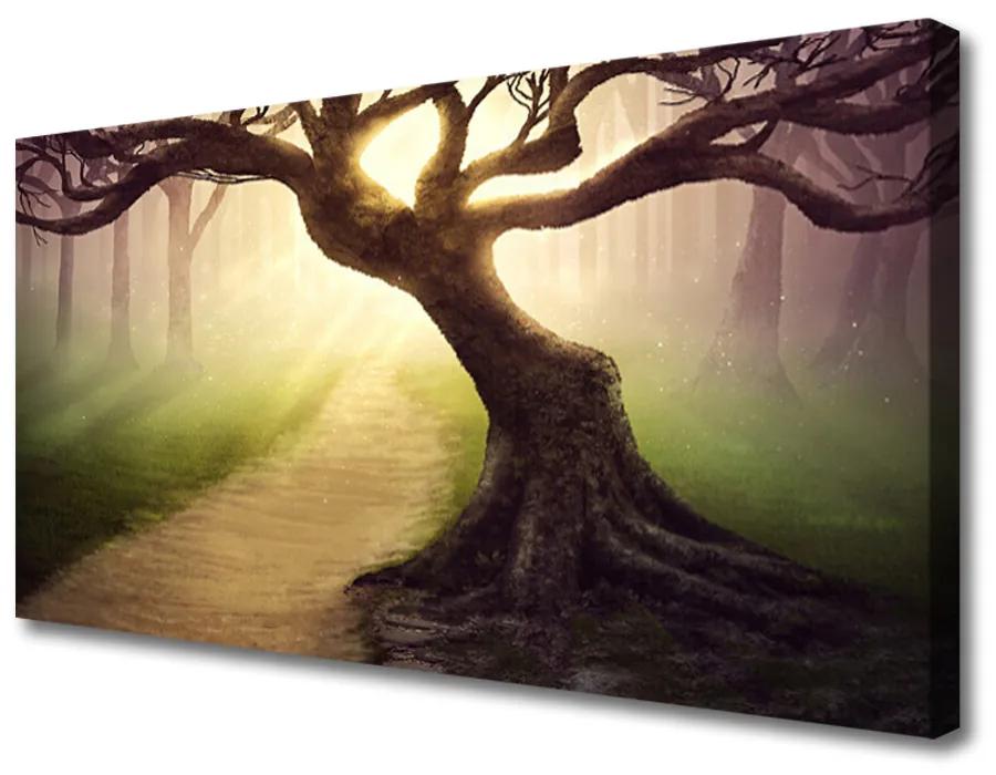 Obraz Canvas Strom lúče slnko 100x50 cm