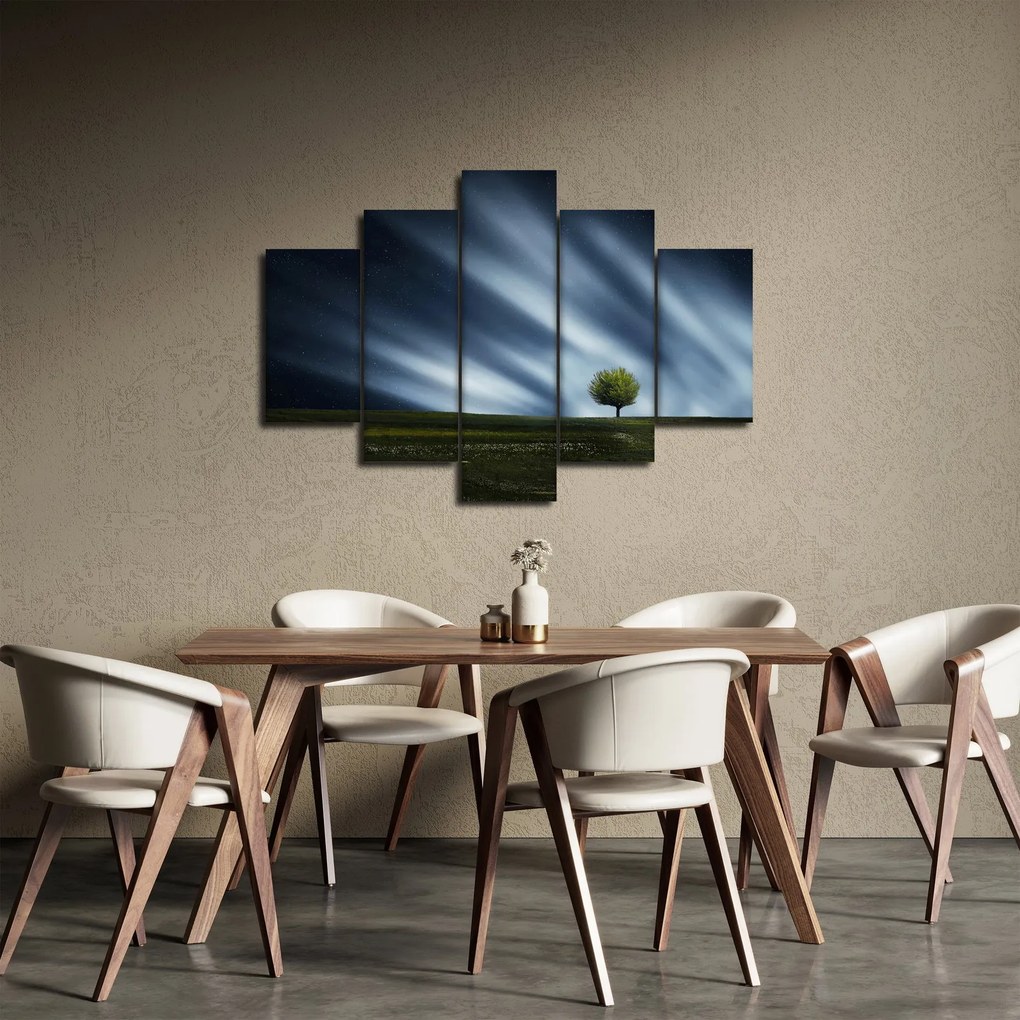Obraz polárna žiara nad vresoviskom (150x105 cm)