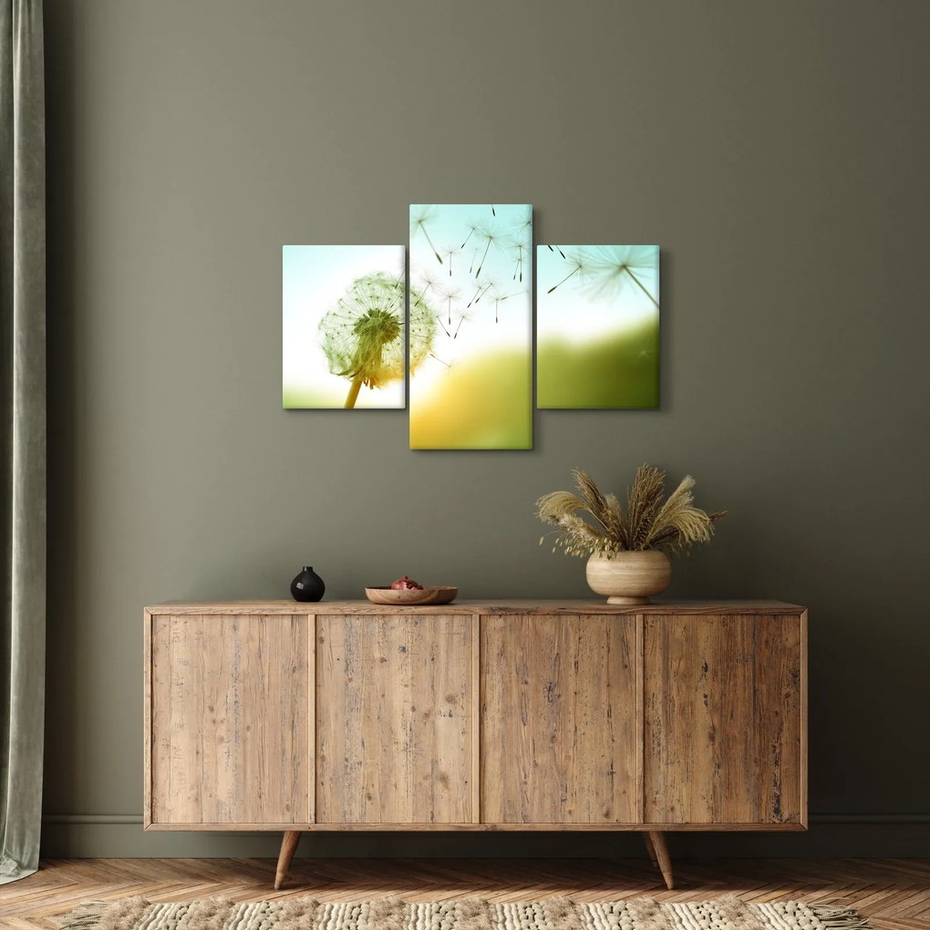 Obraz - Púpava vo vetre (90x60 cm)