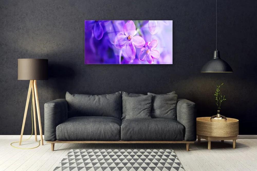 Obraz plexi Fialové kvety príroda 100x50 cm