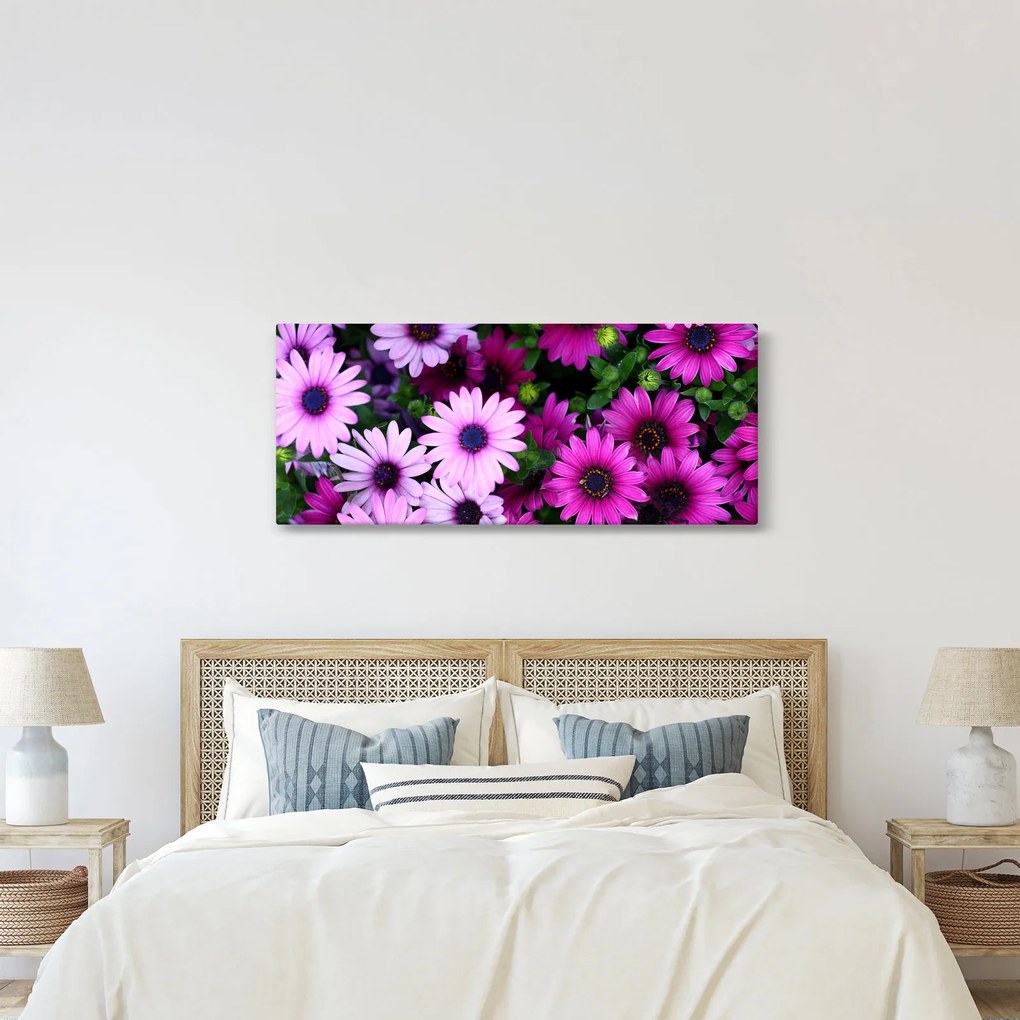 Obraz - Kvety (120x50 cm)