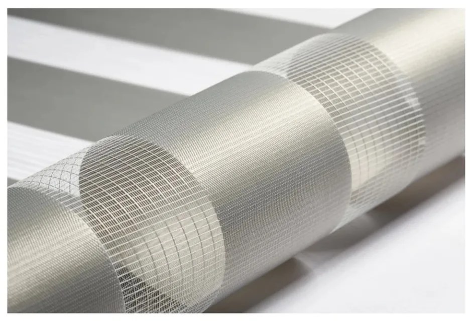 Sivá roleta deň a noc 42,5x150 cm Zebra – Gardinia