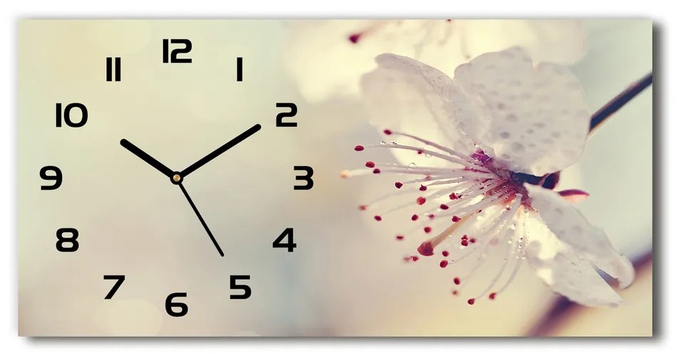 Vodorovné Moderné sklenené hodiny na stenu Kvet višne pl_zsp_60x30_f_102906126