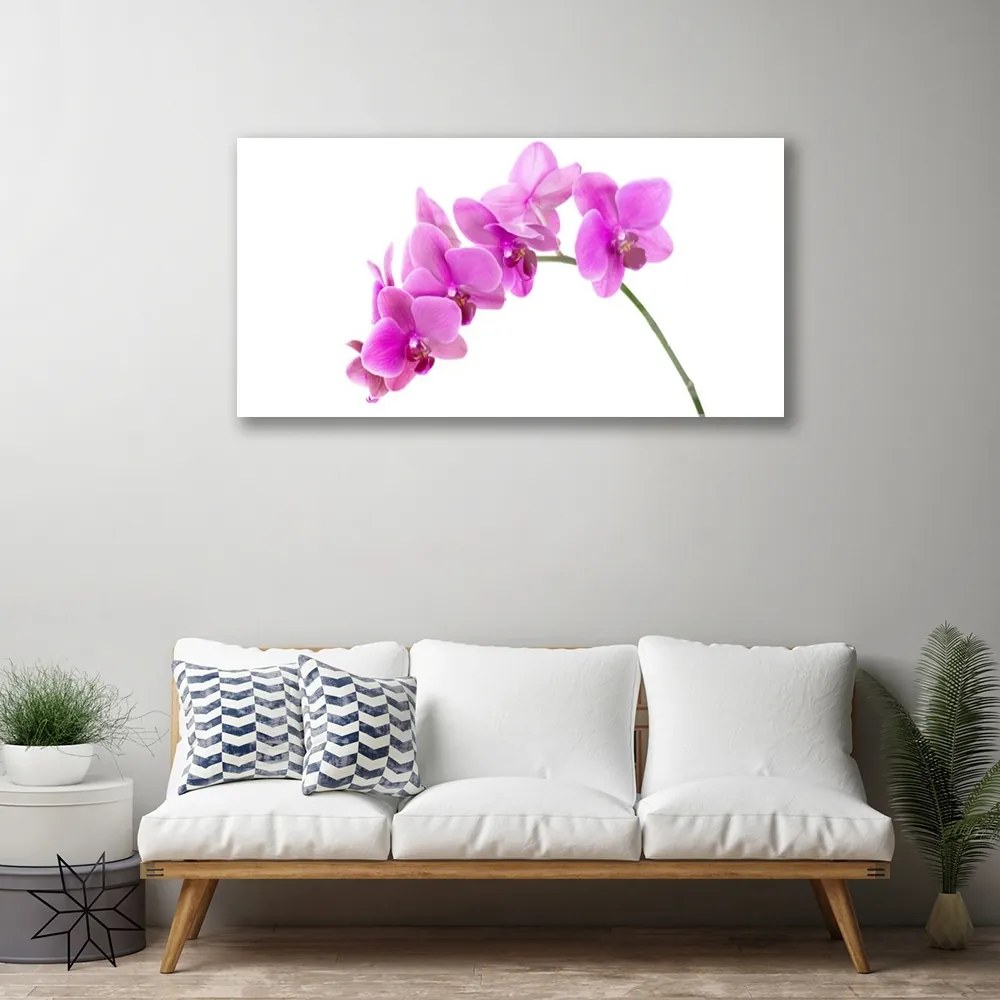 Obraz plexi Vstavač kvet orchidea 100x50 cm