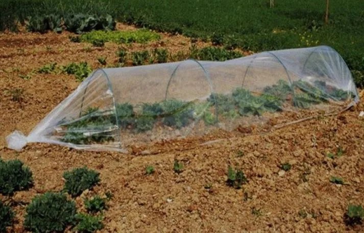 Bestent Foliovník tunel 0,5x6m Garden